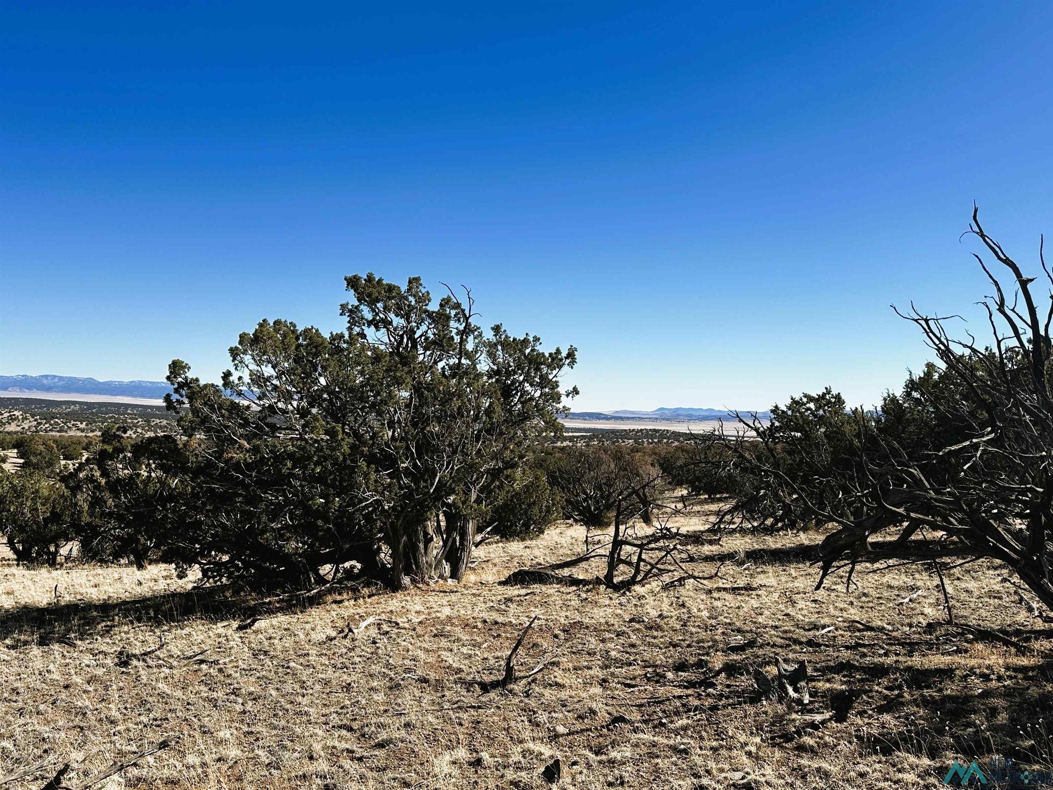 Tanglewood Datil, NM 87821 - Photo 1 of 15 Gallery Image 1