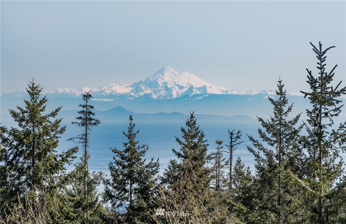 674 Southridge Road Port Angeles, WA 98363 - Photo 4 of 25 Gallery Image 4