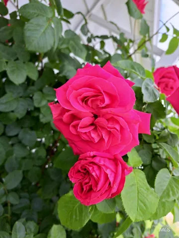 $289,000 | 207 North Main Street, Homedale, ID 83628