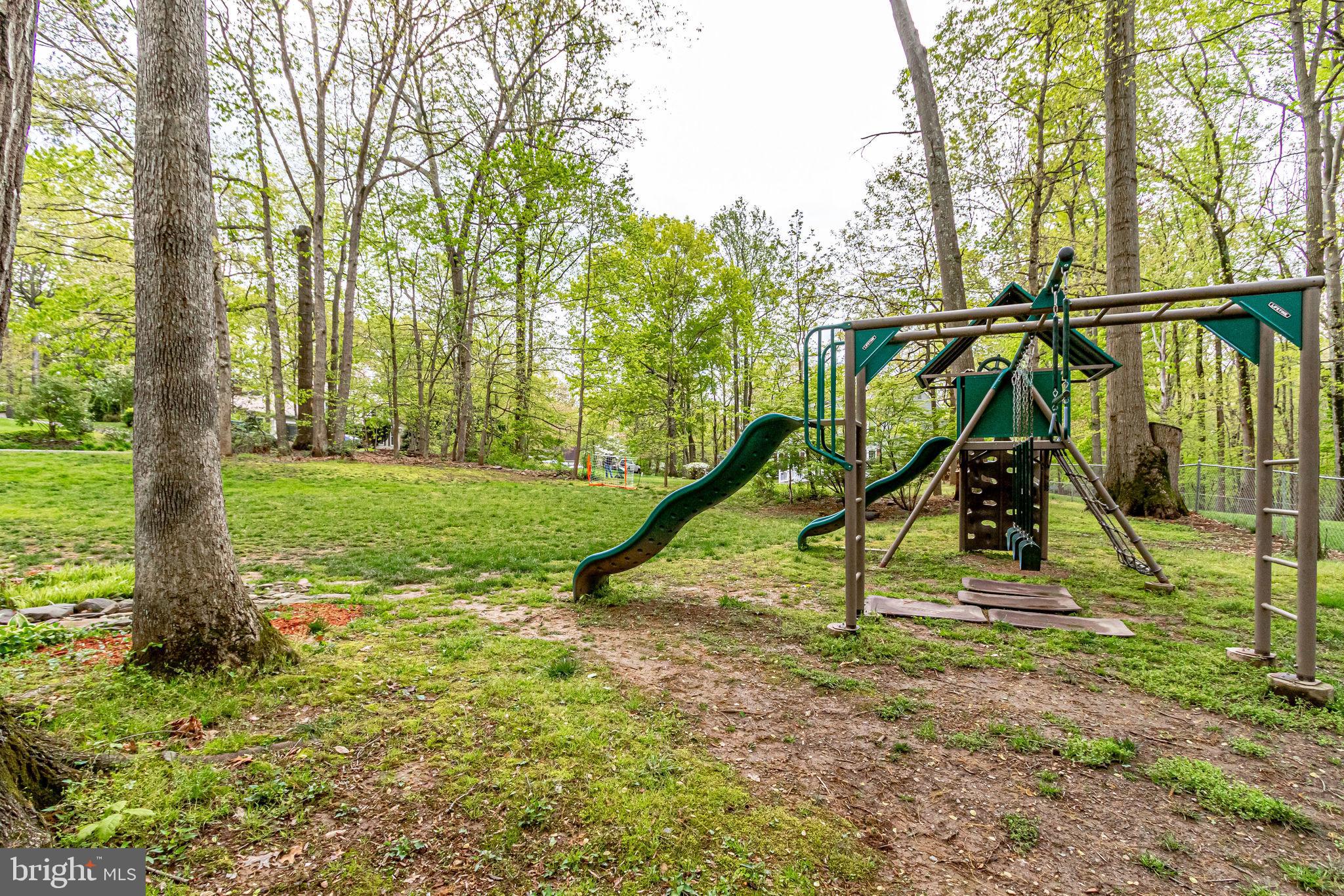 5102 Pheasant Ridge Road Fairfax, VA 22030 - Photo 65 of 68 Large Side Yard Fun for All Ages