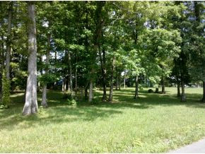 1551 Ross County Road, Unit 2B Greeneville, TN 37745 - Photo 1 of 1 Photo 1