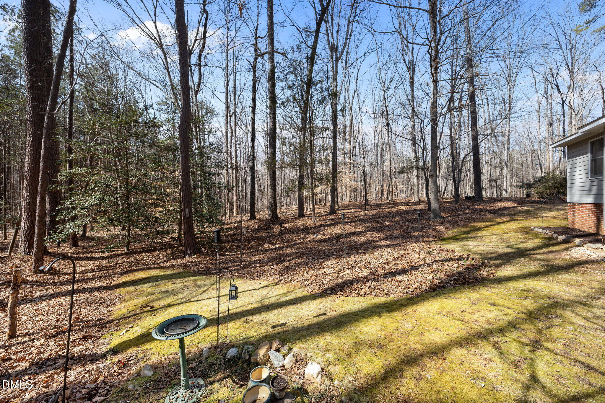 517 John Mitchell Road Youngsville, NC 27596 - Photo 36 of 40 Side Yard