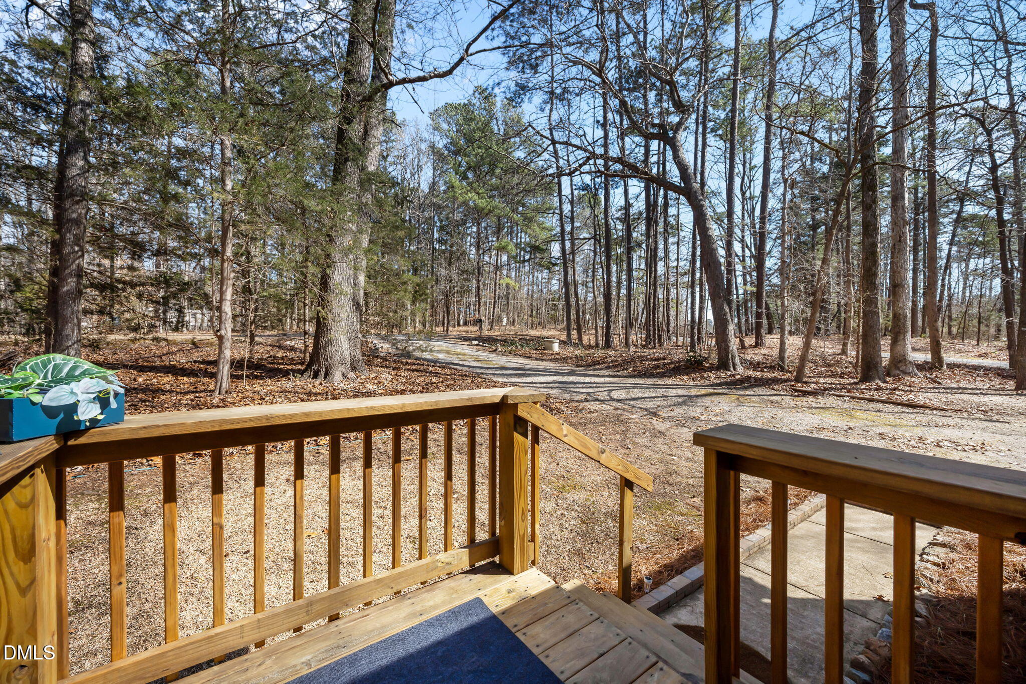 517 John Mitchell Road Youngsville, NC 27596 - Photo 3 of 40 Front Porch-Yard View
