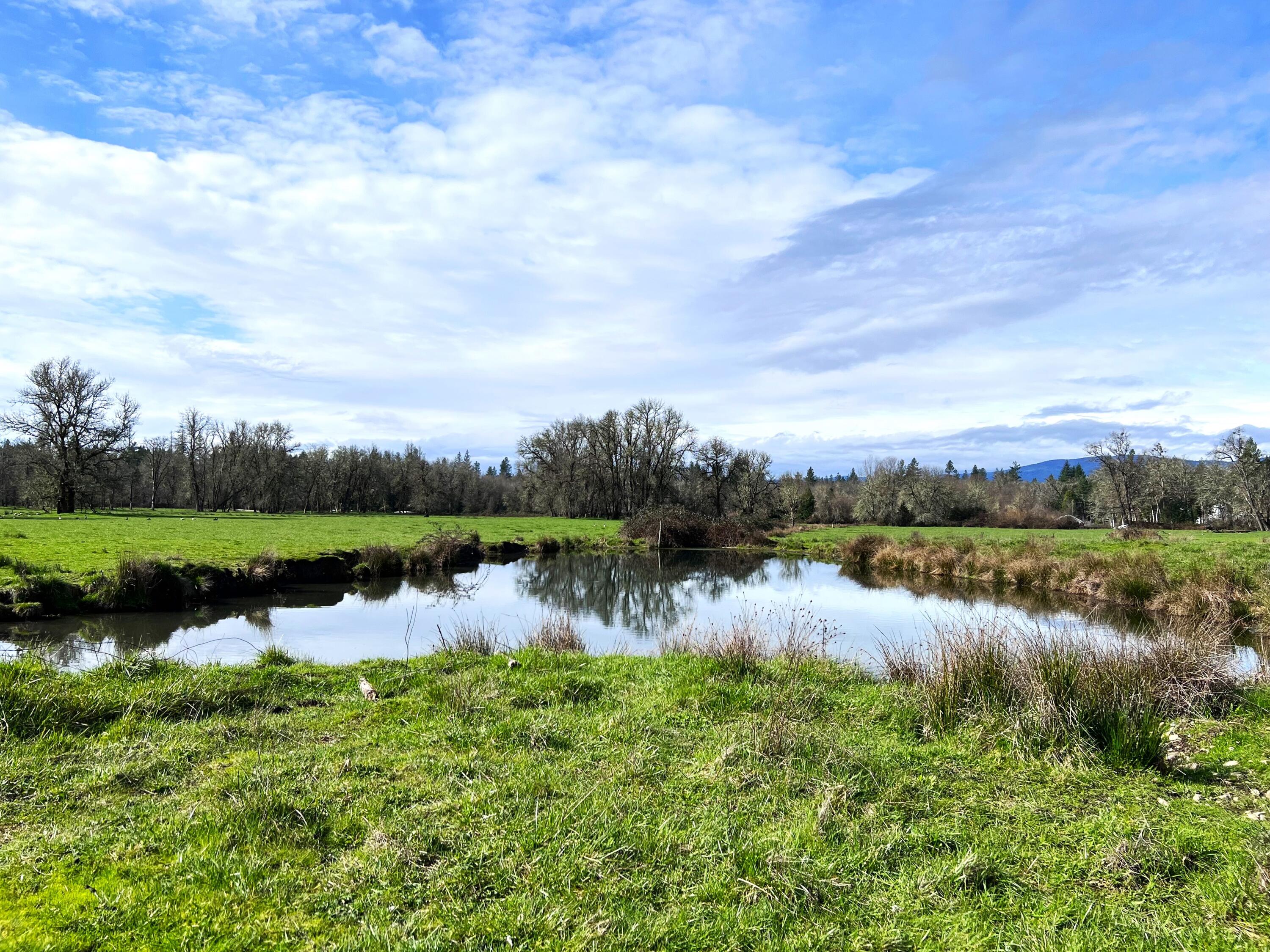 620 Dick George Road Cave Junction, OR 97523 - Photo 67 of 123 year-round pond
