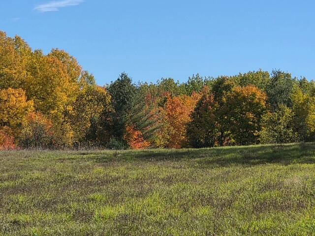 9606 Munger Road Afton, MI 49705 - Photo 16 of 44 fall color