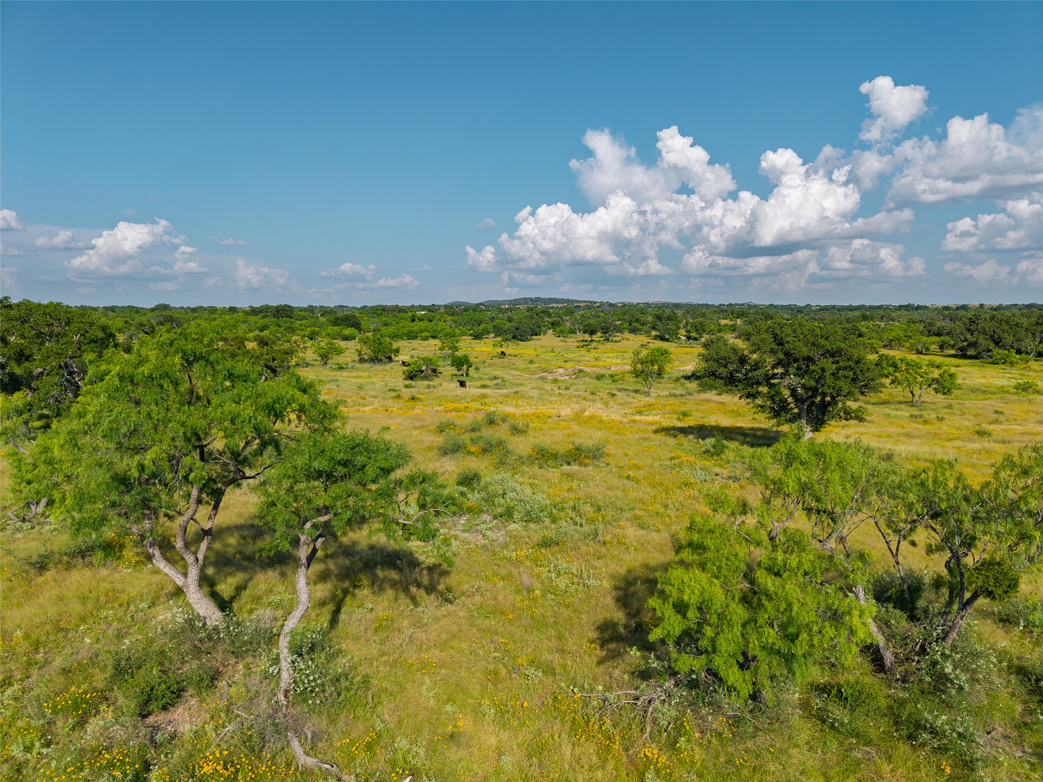 110 County Road 110 Road Llano, TX 78643 - Photo 5 of 18