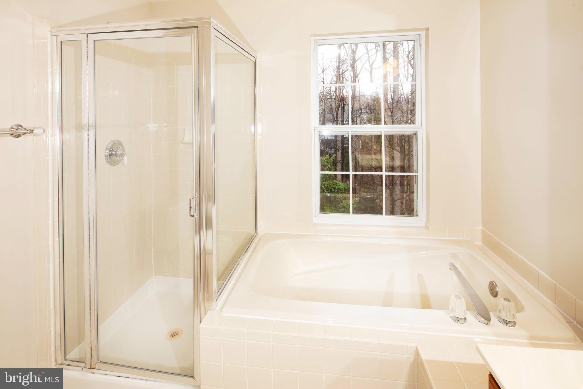 1265 Wild Hawthorn Way Reston, VA 20194 - Photo 35 of 56 Primary Bath w/ Soak Tub & Separate Shower