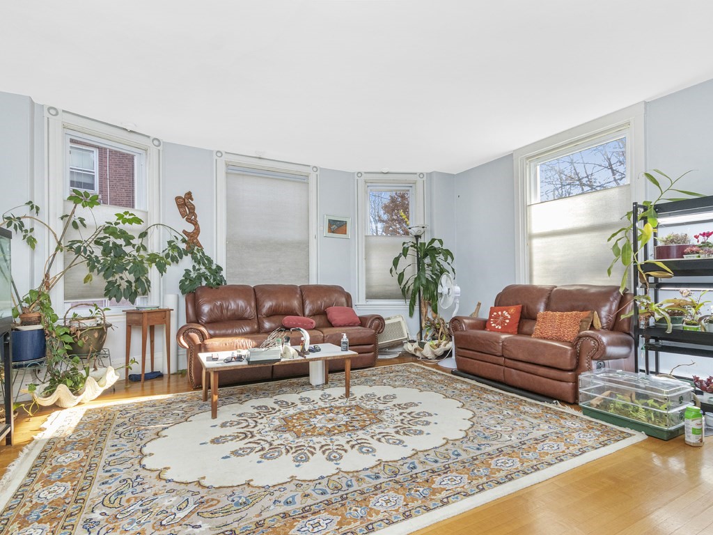 90 Addington Road, Unit 1 Brookline, MA 02445 - Photo 3 of 41 a living room with furniture and a potted plant