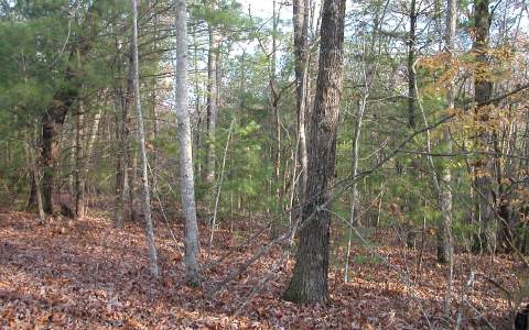 3 Hidden Acres Road Blairsville, GA 30512 - Photo 1 of 1 Main View