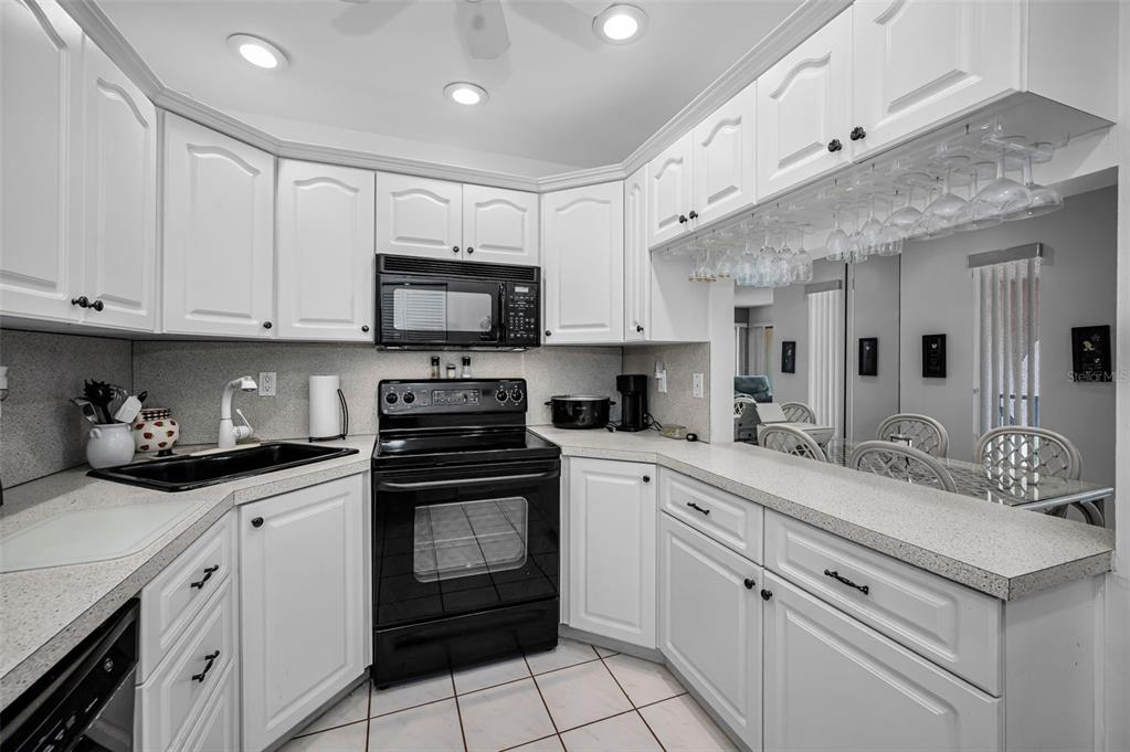 2600 Pine Ridge Way South, Unit A2 Palm Harbor, FL 34684 - Photo 22 of 86