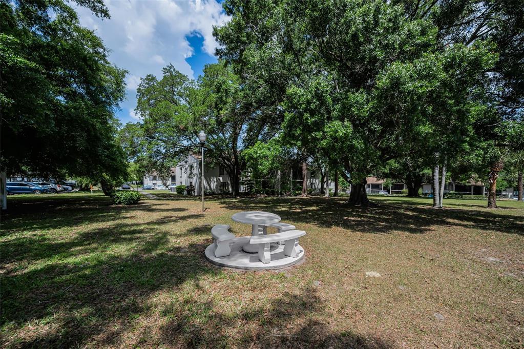 2600 Pine Ridge Way South, Unit A2 Palm Harbor, FL 34684 - Photo 32 of 86