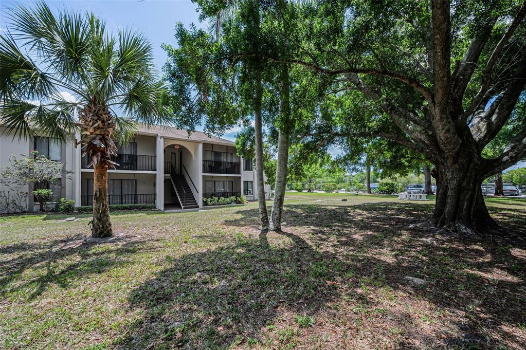 2600 Pine Ridge Way South, Unit A2 Palm Harbor, FL 34684 - Photo 34 of 86