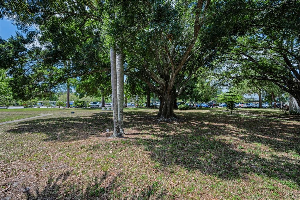 2600 Pine Ridge Way South, Unit A2 Palm Harbor, FL 34684 - Photo 35 of 86