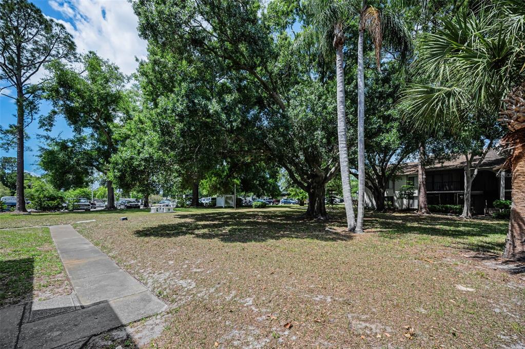 2600 Pine Ridge Way South, Unit A2 Palm Harbor, FL 34684 - Photo 36 of 86