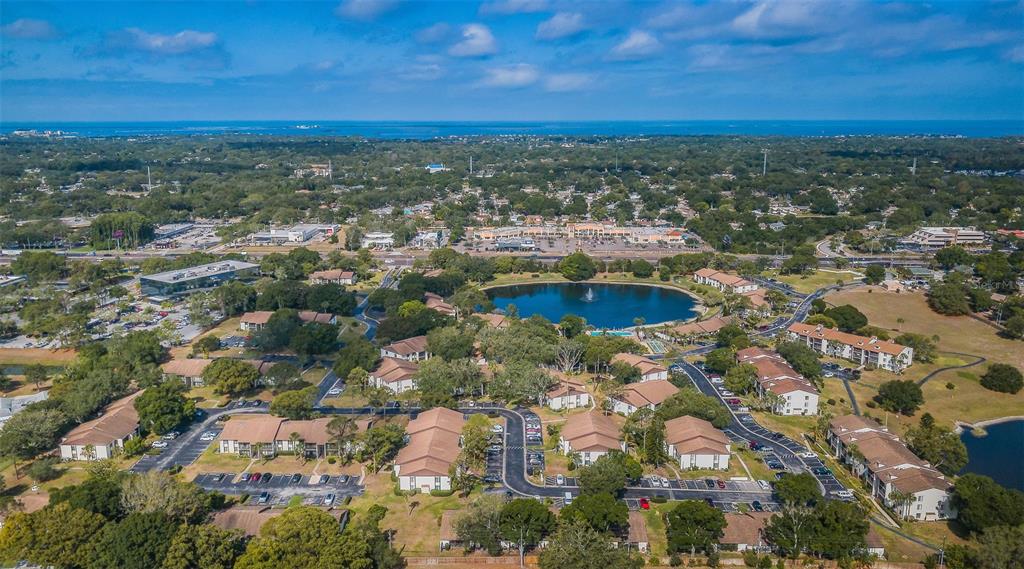 2600 Pine Ridge Way South, Unit A2 Palm Harbor, FL 34684 - Photo 53 of 86
