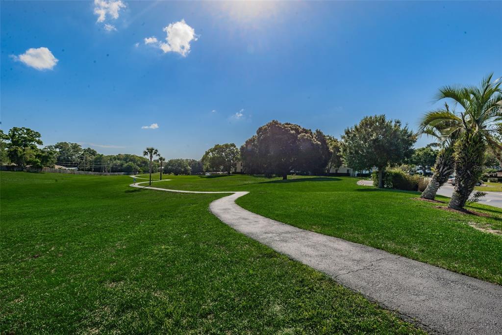 2600 Pine Ridge Way South, Unit A2 Palm Harbor, FL 34684 - Photo 65 of 86