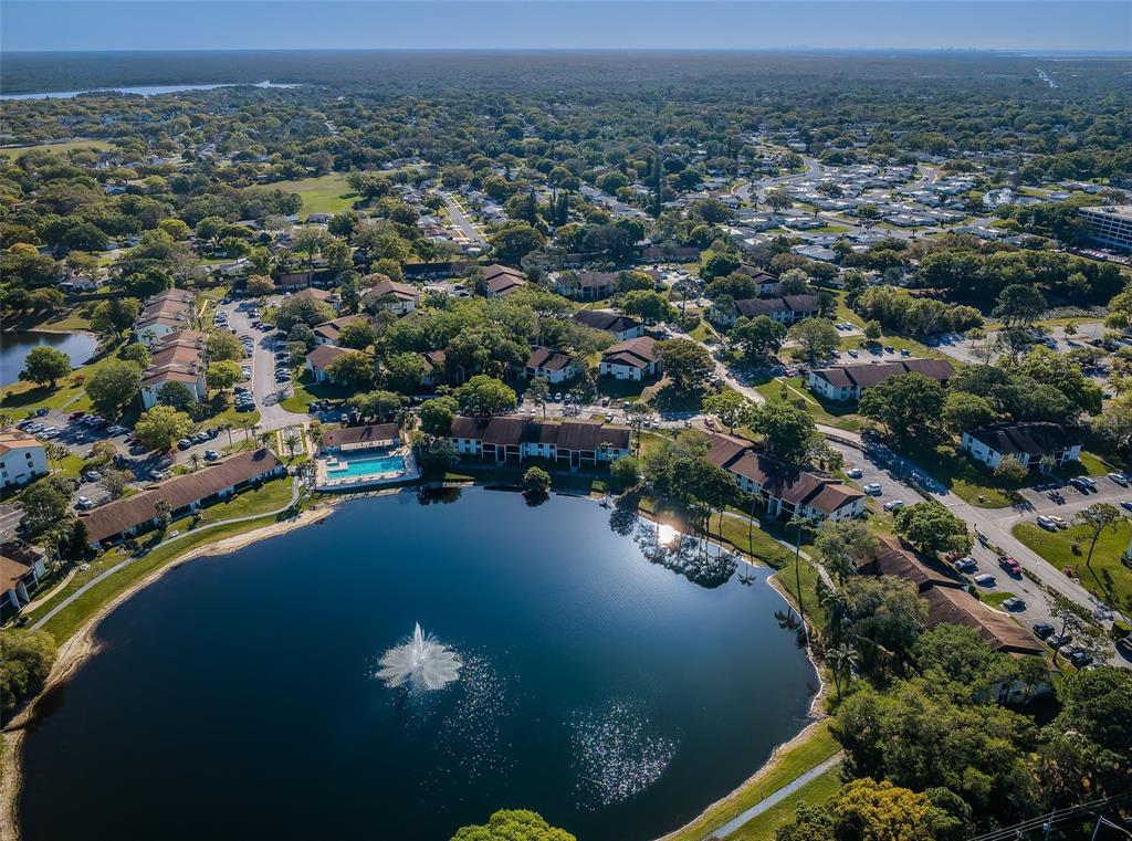 2600 Pine Ridge Way South, Unit A2 Palm Harbor, FL 34684 - Photo 70 of 86