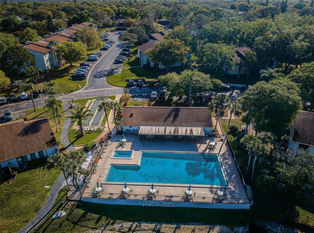 2600 Pine Ridge Way South, Unit A2 Palm Harbor, FL 34684 - Photo 72 of 86