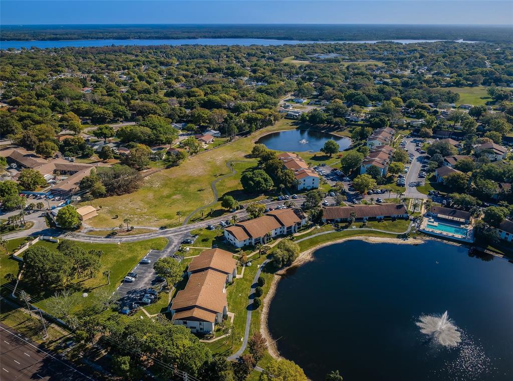 2600 Pine Ridge Way South, Unit A2 Palm Harbor, FL 34684 - Photo 79 of 86