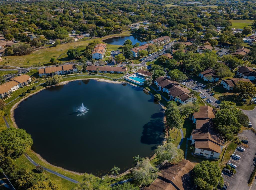 2600 Pine Ridge Way South, Unit A2 Palm Harbor, FL 34684 - Photo 81 of 86