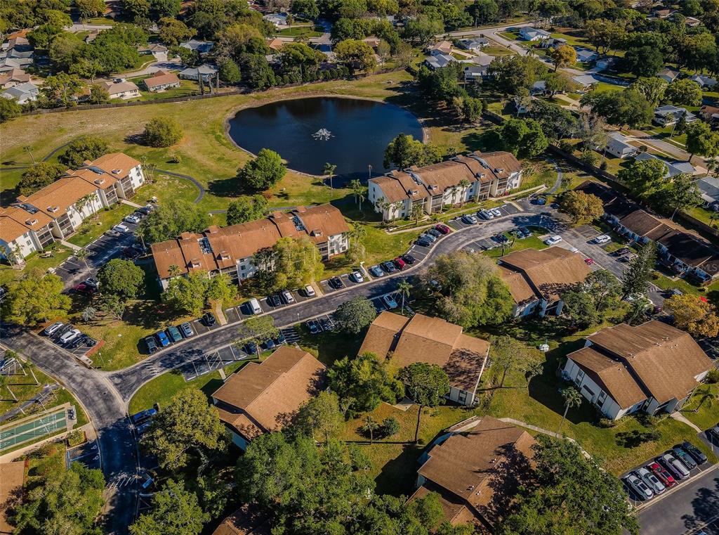 2600 Pine Ridge Way South, Unit A2 Palm Harbor, FL 34684 - Photo 82 of 86