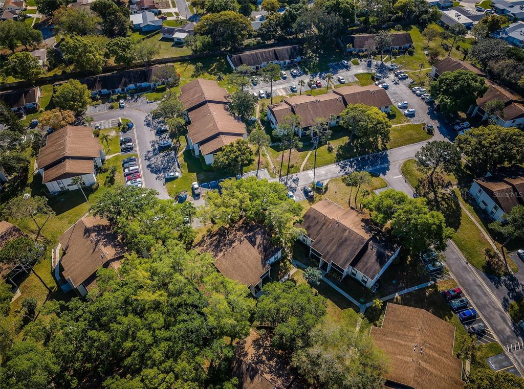 2600 Pine Ridge Way South, Unit A2 Palm Harbor, FL 34684 - Photo 83 of 86