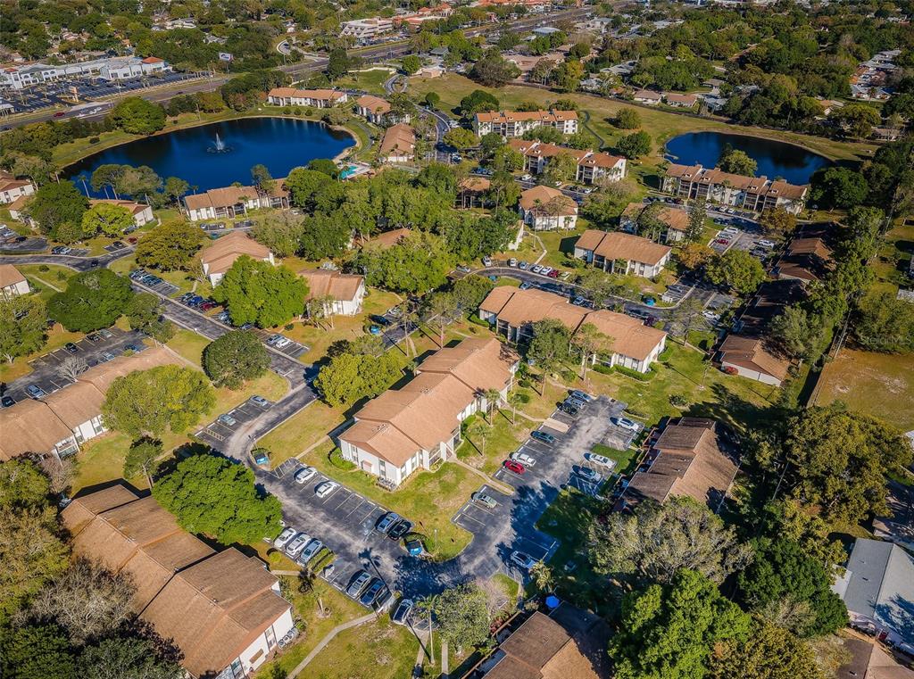 2600 Pine Ridge Way South, Unit A2 Palm Harbor, FL 34684 - Photo 84 of 86