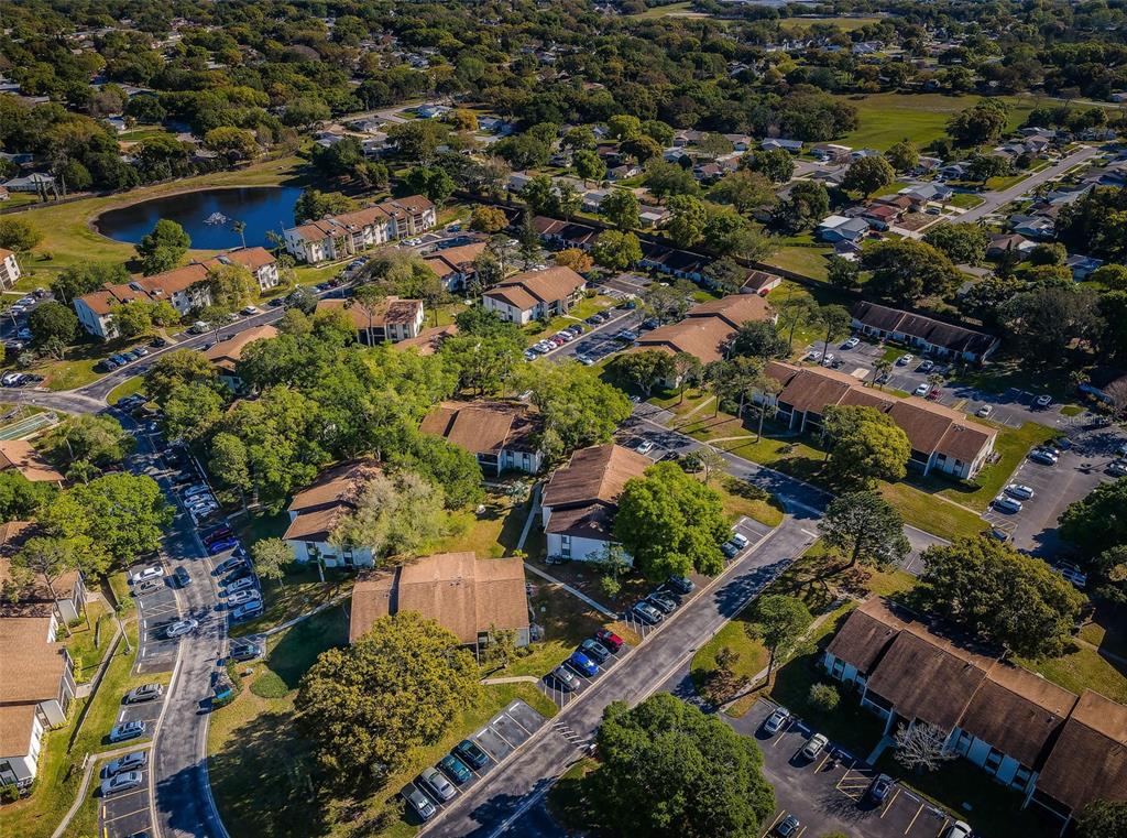 2600 Pine Ridge Way South, Unit A2 Palm Harbor, FL 34684 - Photo 86 of 86