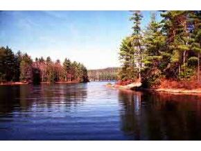 148 Winona Shores Road Meredith, NH 03253 - Photo 1 of 5