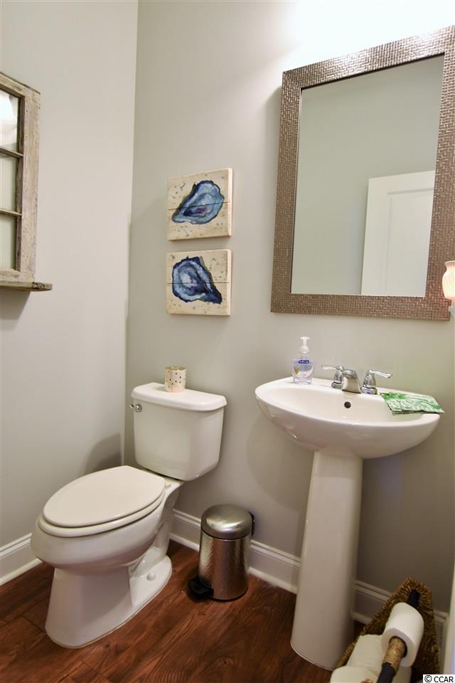 132 Splendor Circle Murrells Inlet, SC 29576 - Photo 16 of 30