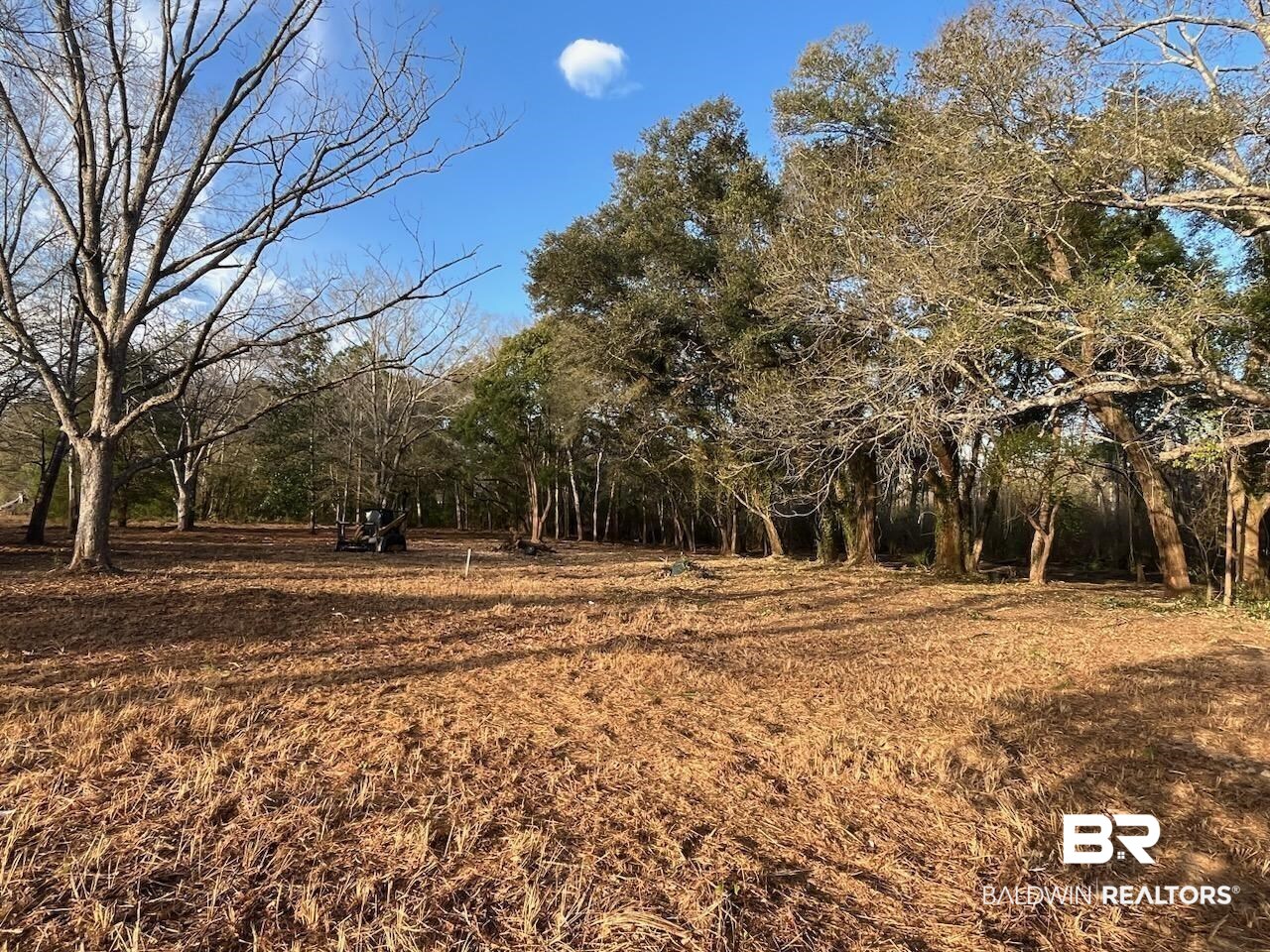 14121 Bunny Hop Foley, AL 36535 - Photo 6 of 7