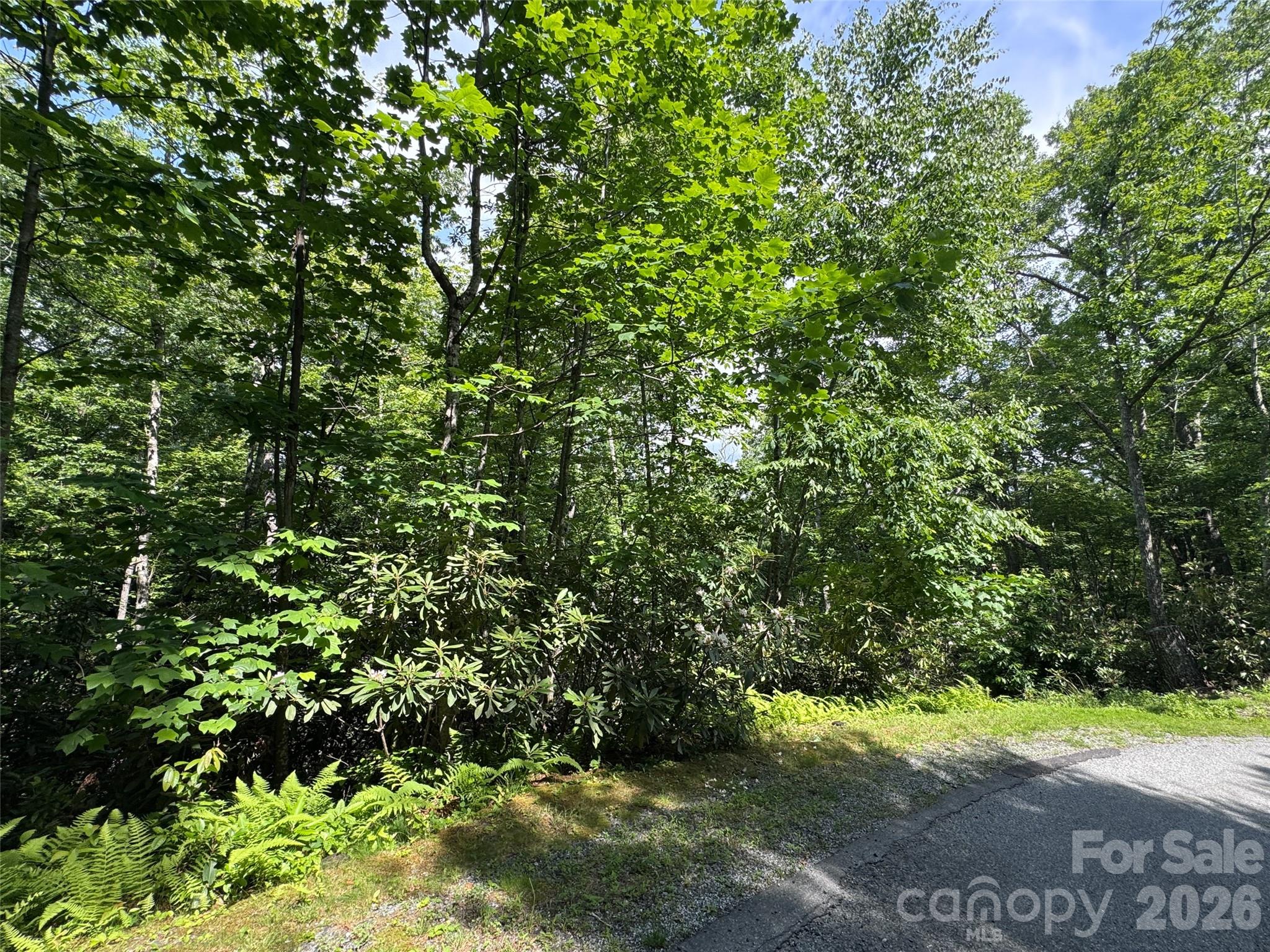 10 A Reserve Road Pisgah Forest, NC 28768 - Photo 20 of 33