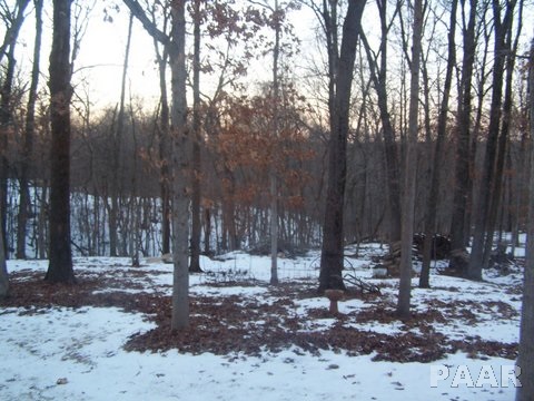 9 Roth Court Metamora, IL 61548 - Photo 31 of 32 Gallery Image 31