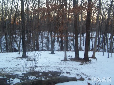 9 Roth Court Metamora, IL 61548 - Photo 32 of 32 Gallery Image 32