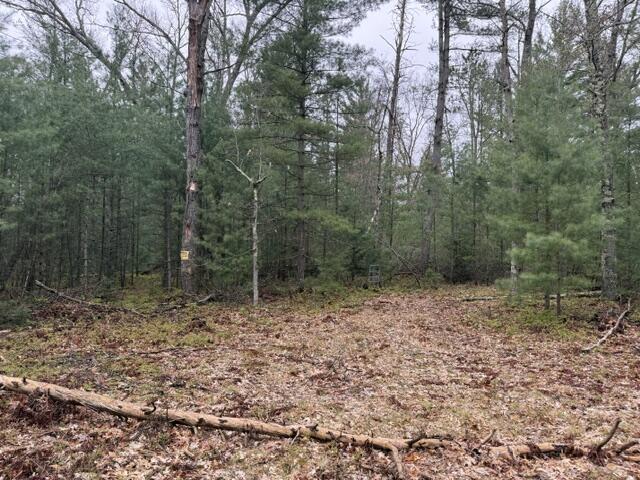 Vl East Free Soil Road Free Soil, MI 49411 - Photo 2 of 4