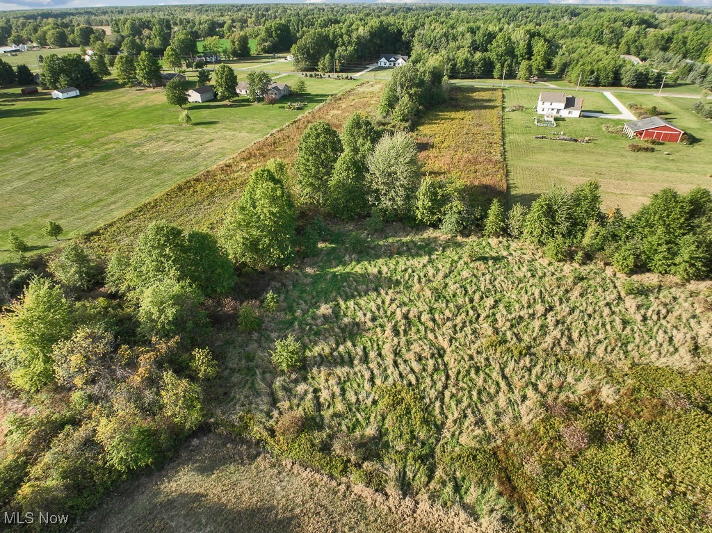 34645 Dye Road Columbia Station, OH 44028 - Photo 9 of 18 Aerial overview of property's location with rural landscape