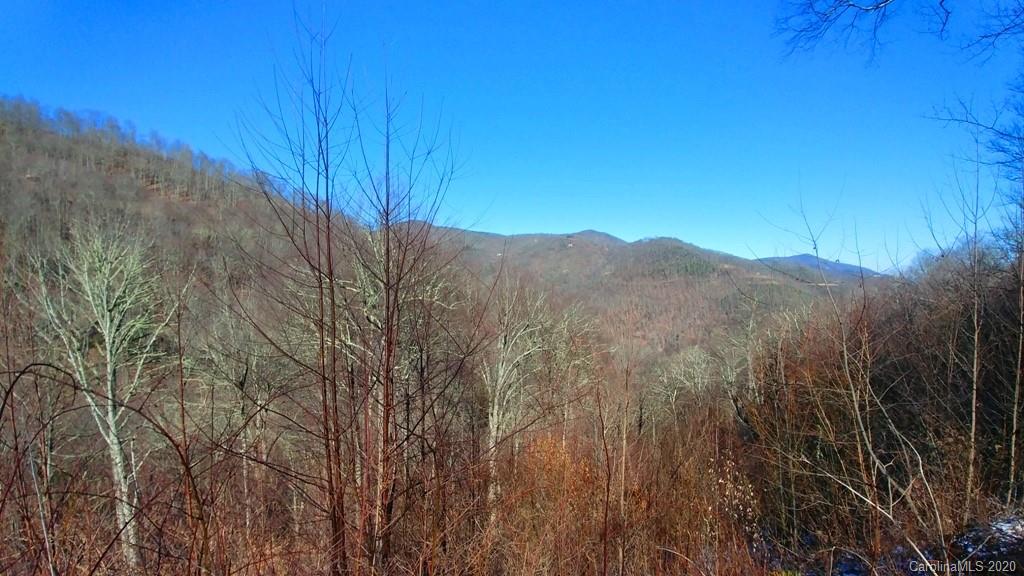 48 Bobcat Road, Unit 48C Maggie Valley, NC 28751 - Photo 4 of 18 Gallery Image 4