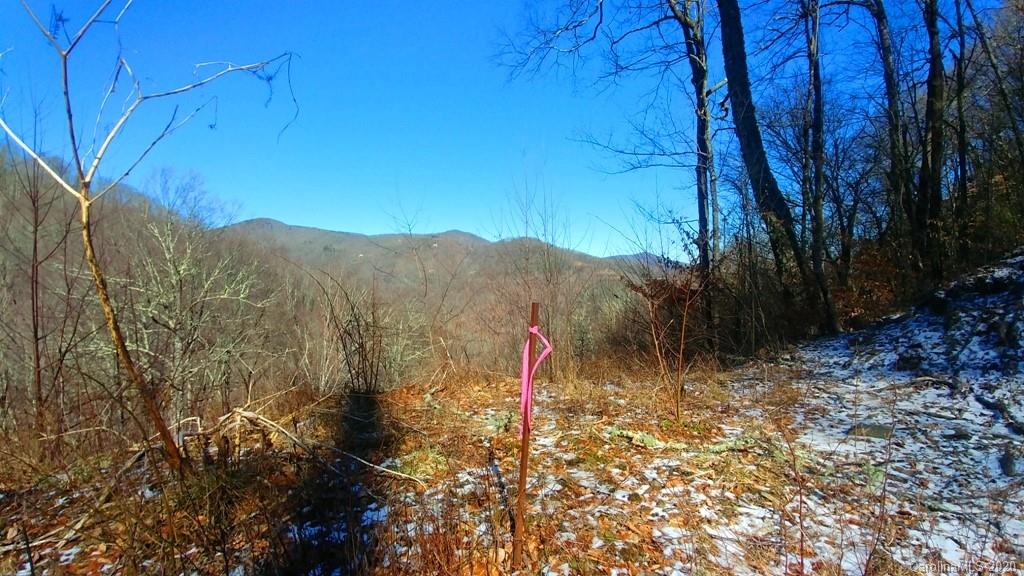 48 Bobcat Road, Unit 48C Maggie Valley, NC 28751 - Photo 7 of 18 Gallery Image 7