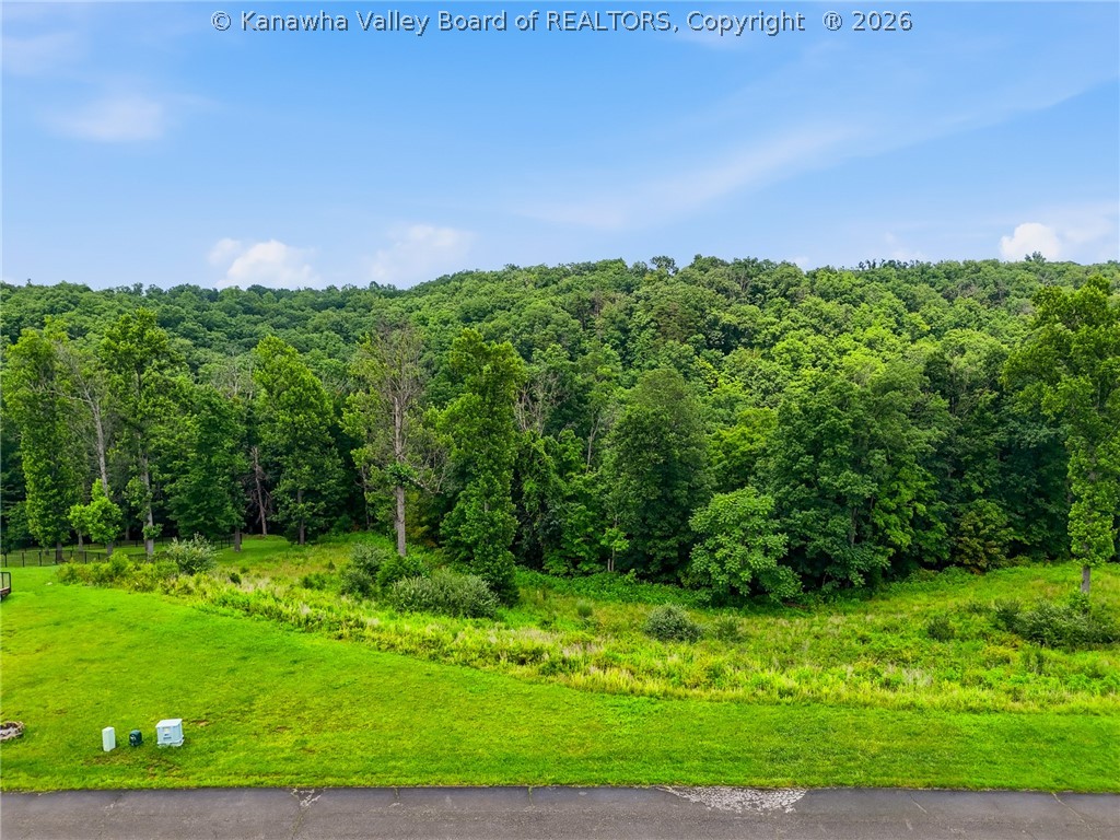 Lot 445 Aviators Point Eleanor, WV 25070 - Photo 10 of 10 Gallery Image 10