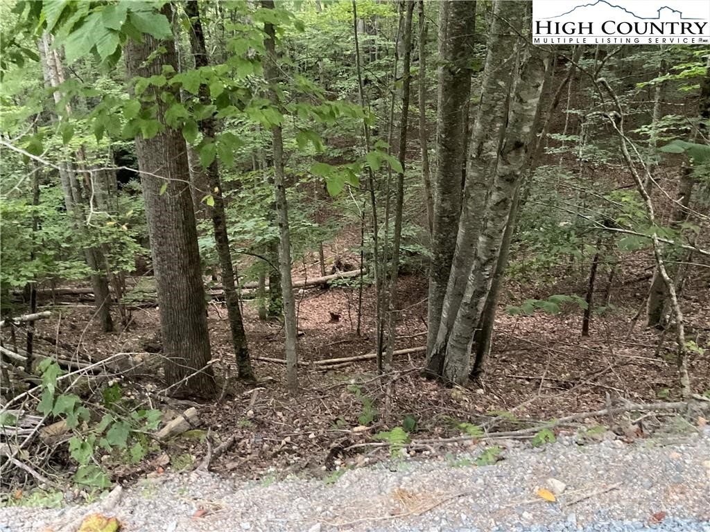145 Raccoon Road Beech Mountain, NC 28604 - Photo 5 of 5
