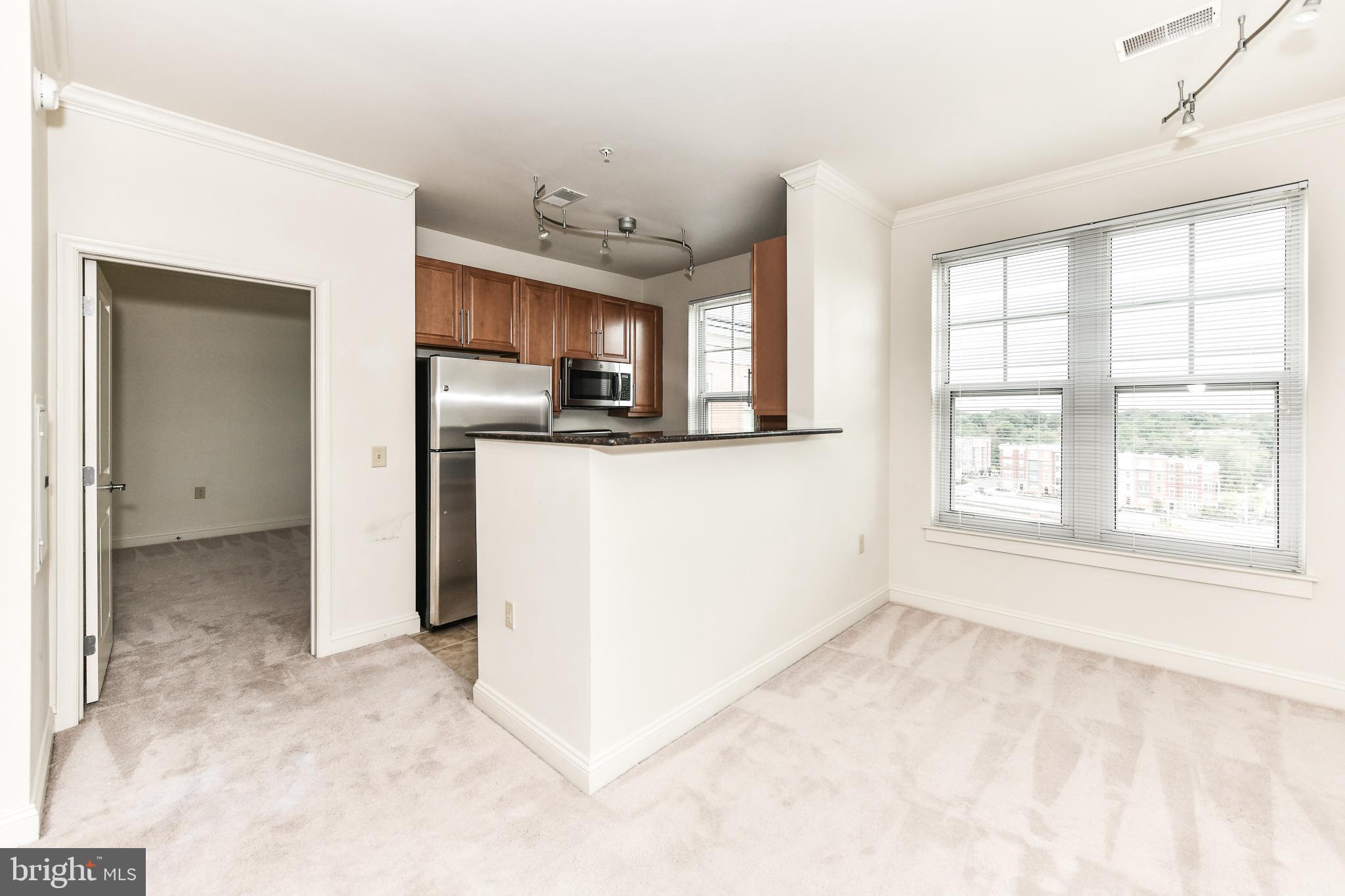 11770 Sunrise Valley Drive, Unit 421 Reston, VA 20191 - Photo 38 of 38