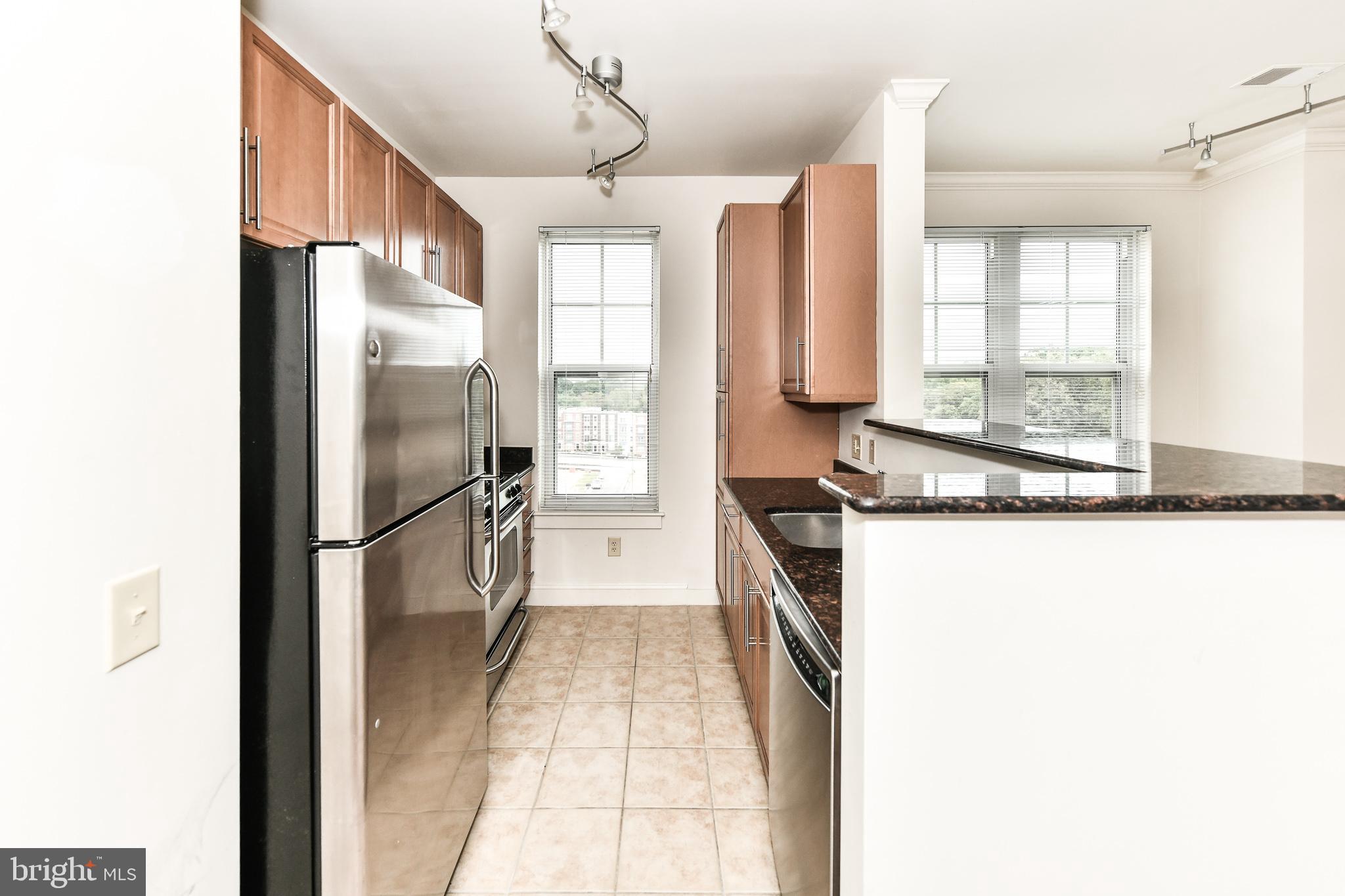 11770 Sunrise Valley Drive, Unit 421 Reston, VA 20191 - Photo 6 of 38