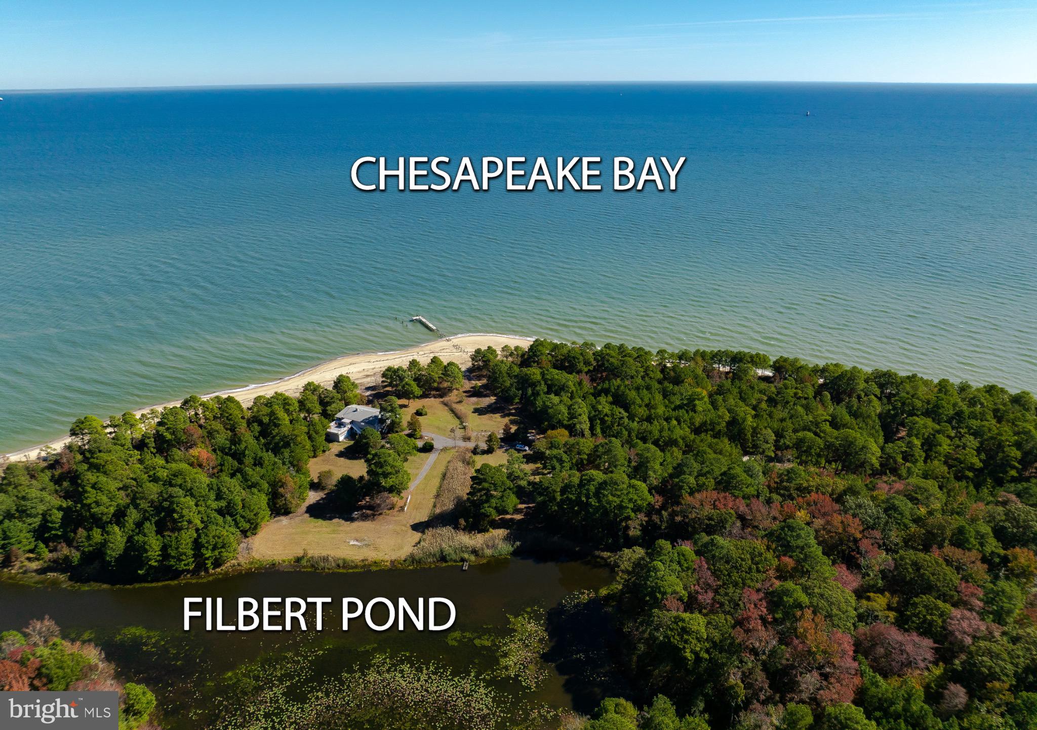 50645 Holly Point Road Dameron, MD 20628 - Photo 23 of 99