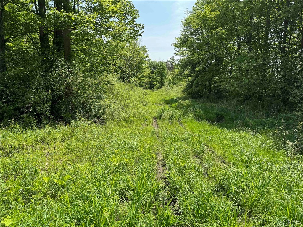 7057 County Touring Rte 37 Chautauqua, NY 14728 - Photo 47 of 50