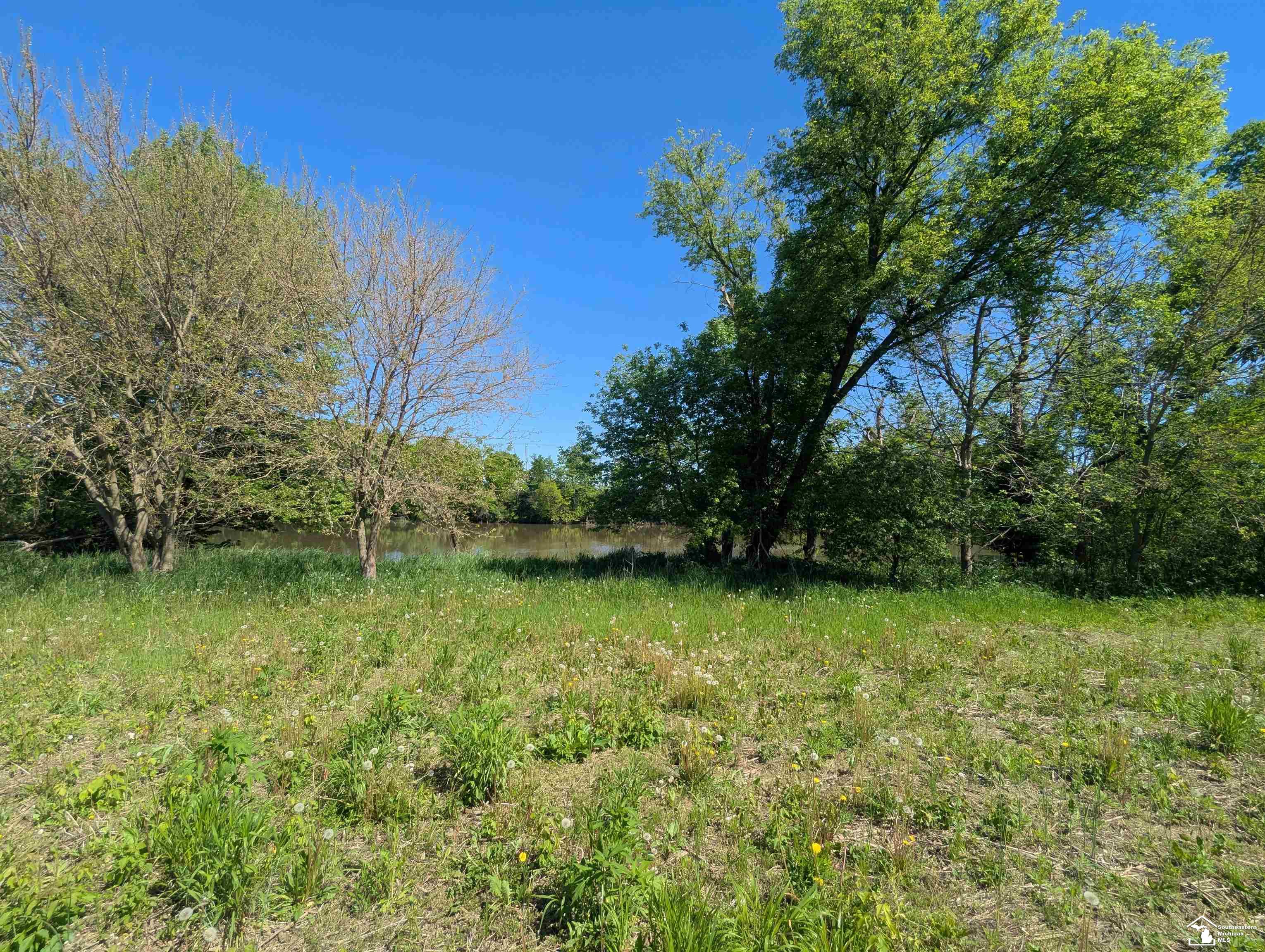 0 Dixon Road Monroe, MI 48161 - Photo 3 of 8