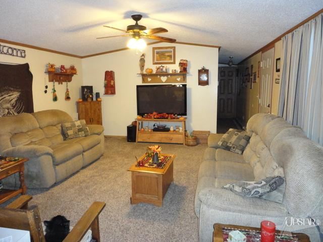 7351 County Road 46 Butler, IN 46721 - Photo 4 of 8
