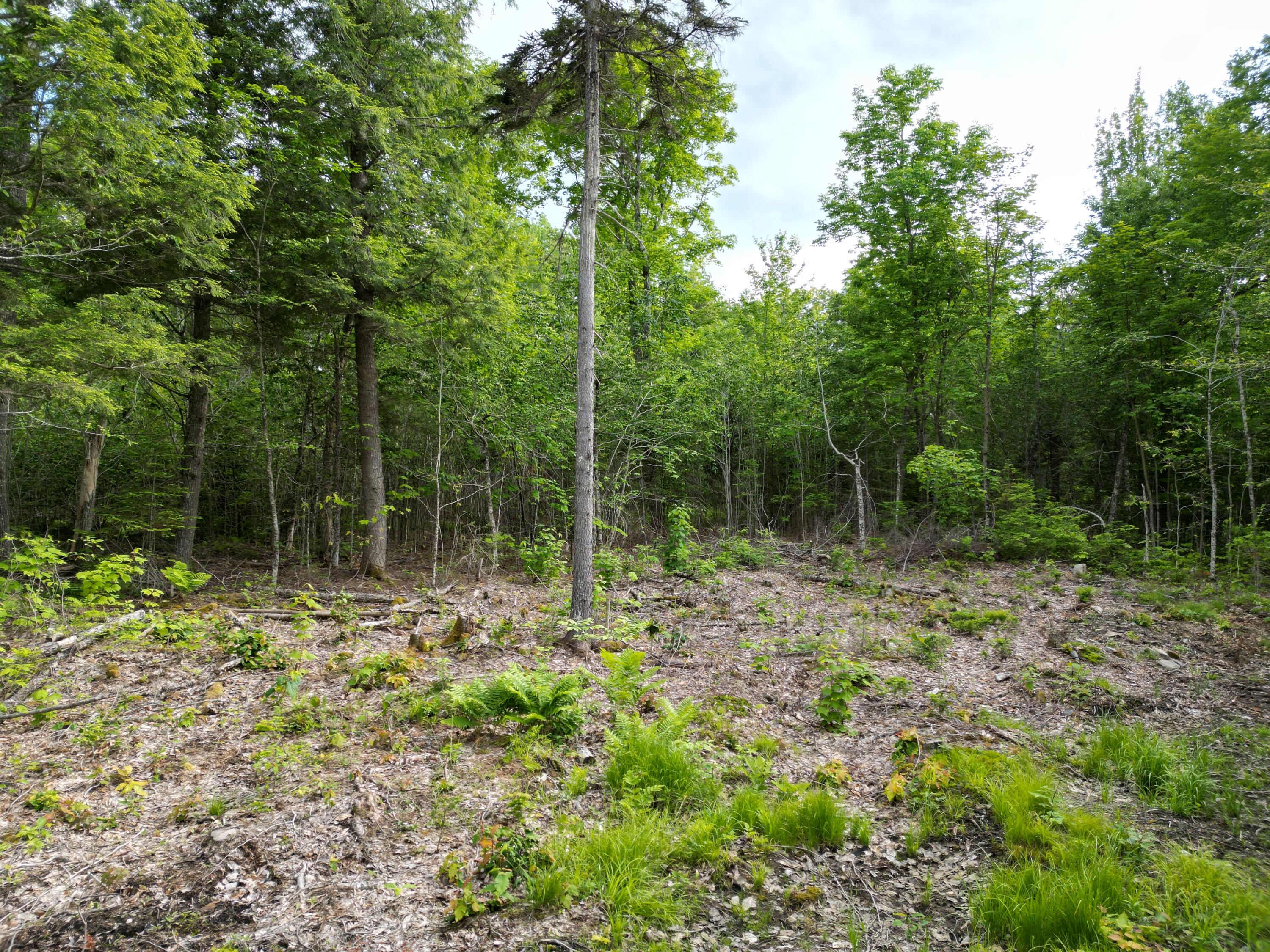 Lot 32 Bearce Road Lakeville, ME 04487 - Photo 5 of 14 DJI_0278
