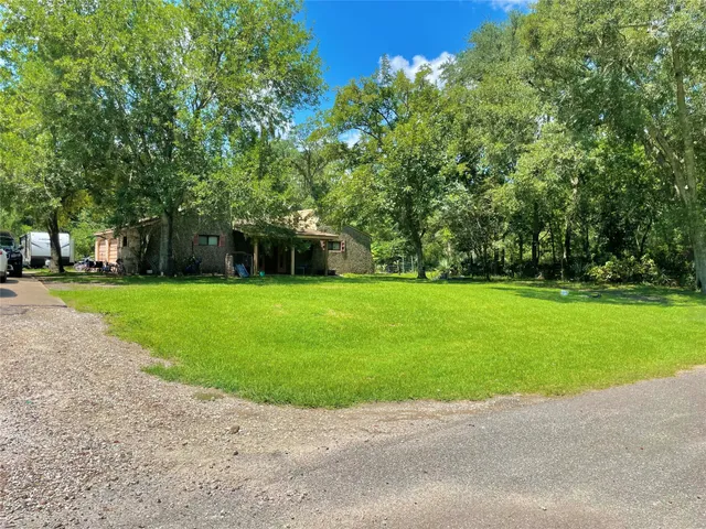 a view of a garden with large trees