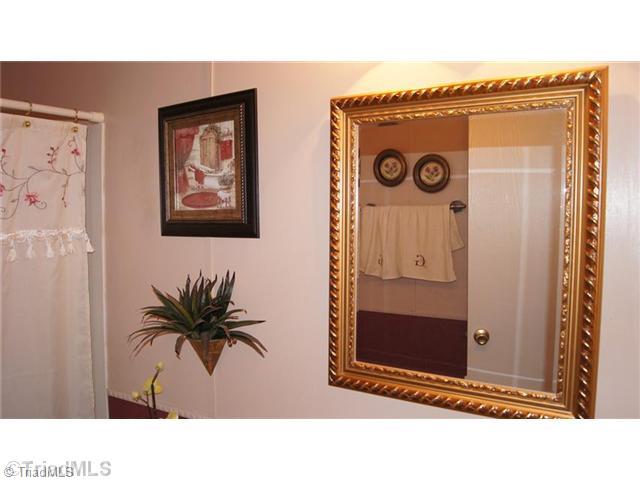 1146 Kallam Farm Road Sandy Ridge, NC 27046 - Photo 10 of 16 Other Bath.