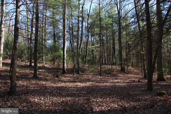 a view of outdoor space with trees